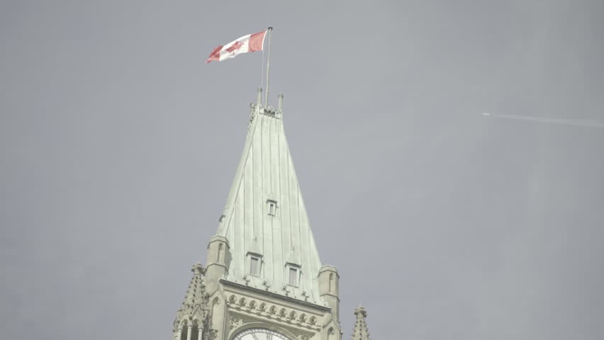 Canadian waving flag.