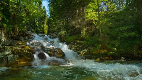 4k nature cinemagraph river with small waterfall in forest with audio
