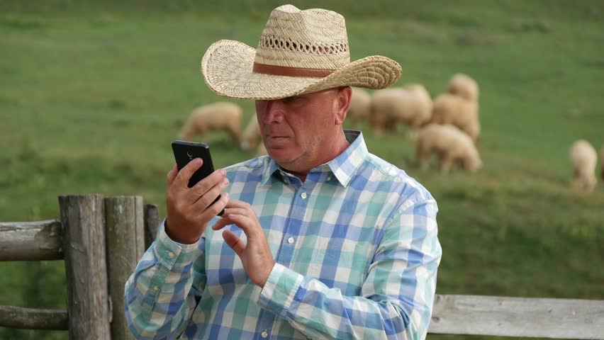Cowboy Talking to Mobile in a Farm with a Herd of Sheep Grazing in Background (Ultra High Definition, UltraHD, Ultra HD, UHD, 4K, 3840x2160) Royalty-Free Stock Footage #30347587