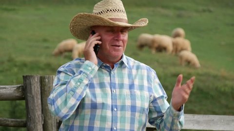 Cowboy Talking to Mobile in a Farm with a Herd of Sheep Grazing in Background (Ultra High Definition, UltraHD, Ultra HD, UHD, 4K, 3840x2160)