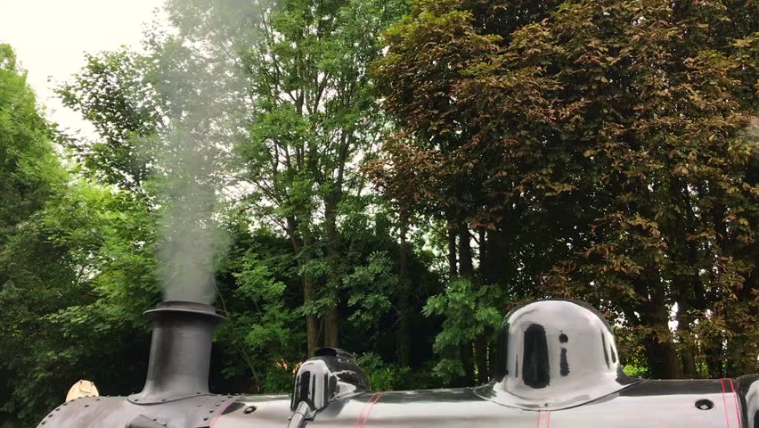 Steam train locomotive puffing smoke, with trees in the background.