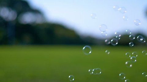 Continuous colorful soap bubbles  floating in green park, slow motion
