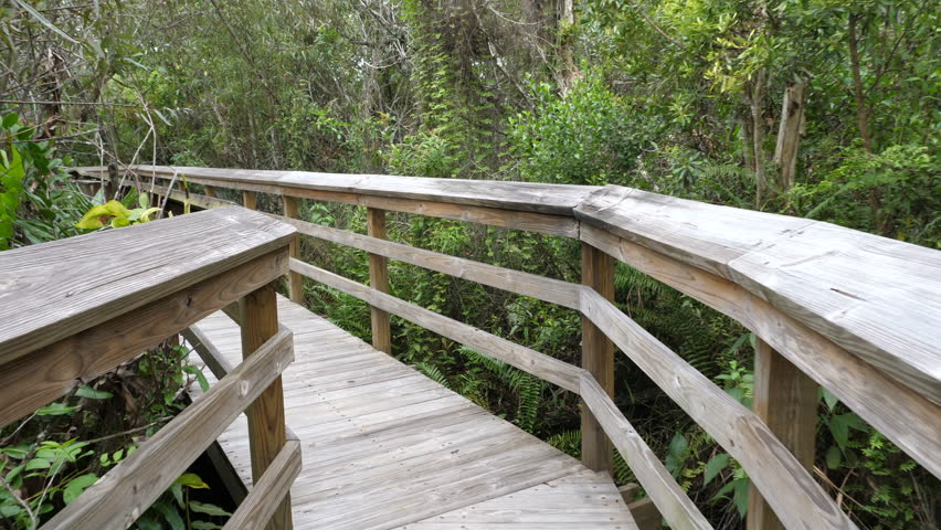 Wooden bridge on tourist path in Everglades National Park
