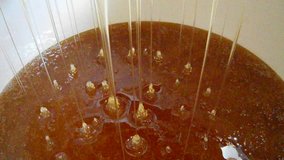 Drops of thick honey drip down, syrup pouring side view, food from bee honeycomb. Honey video clip consisting of dripping liquid pouring. Pouring sticky syrups to bees honeycombs. Drips sweet honey.
