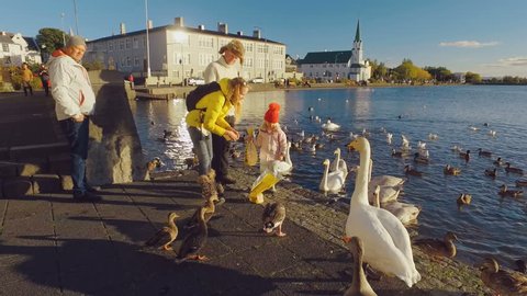 Reykjavik, Iceland - SEP, 2016: young family with little daughter is feeding birds on a lake in a european city in sunny weather