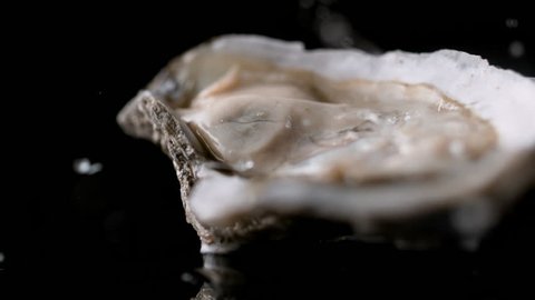 Water droplets on oyster. Shot with high speed camera, phantom flex 4K. Slow Motion.