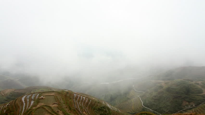 Terraced rice field foggy morning - Longsheng, Guangxi province, China.