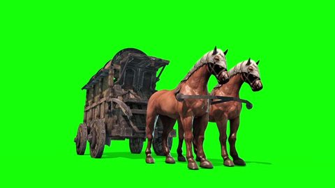 Carriage Horses Green Screen 3D Rendering Animation