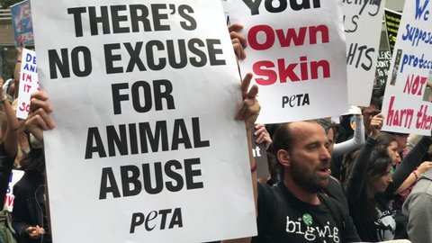 58 Peta Protests Stock Video Footage - 4K and HD Video Clips | Shutterstock 58 Peta Protests Stock Video Footage - 4K and HD Video Clips | Shutterstock