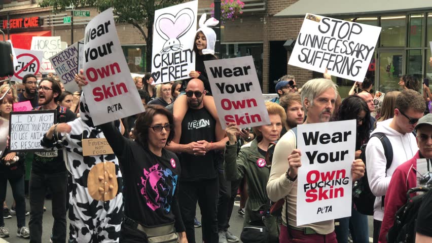 NEW YORK - SEPT 2, 2017: wear your own skin sign at animal rights parade, NYC 4K. The animal rights march took place on 8th street in Manhattan and expressed anger toward all forms of animal cruelty. | Shutterstock HD Video #30396586