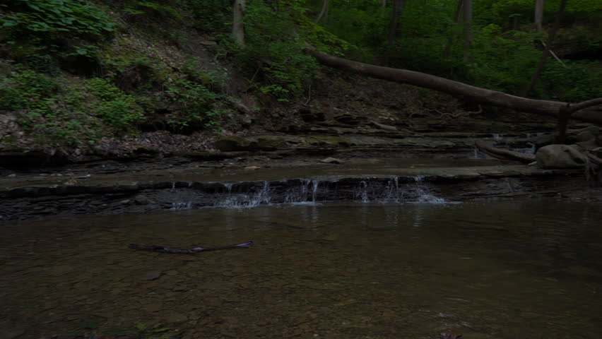 Walking through stream and over small waterfalls in woods