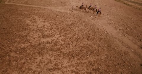 Israel Aerial drone of Middle Eastern camel owners in desert convoy tourism
