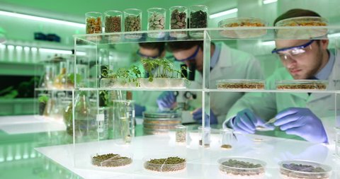 Researchers Team Work Genetically Modified Plants and Seeds Research Laboratory