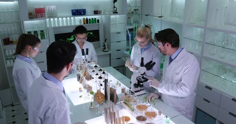 Biologists Team Work Genetically Modified Plants and Seeds Research Laboratory