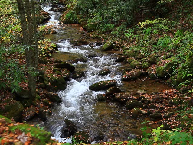 Mountain creek in the fall