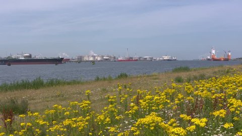 ROTTERDAM SEAPORT - JULY 2017: skyline petrochemical refineries and storage tanks of Europoort (gate to Europe) industrial area, facing west