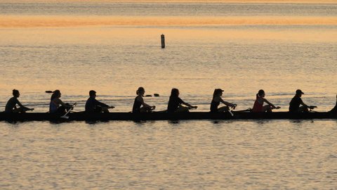 Competitive Rowing Team on Lake at Dawn. 4K UHD Tracking Shot.