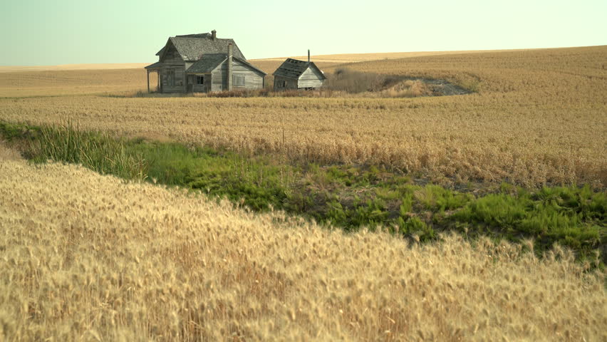 Abandoned Farmhouse, Palouse, Washington State 4K. UHD. Abandoned buildings dot the landscape in the Palouse area of Washington State, USA. 4K. UHD.

