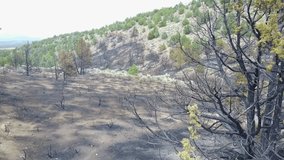 Reno, Nevada - United States - August 07, 2017: Aerial footage of charred land in Reno, Nevada