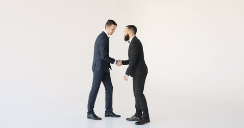 Business partners handshaking. two businessmen shaking hands on white background