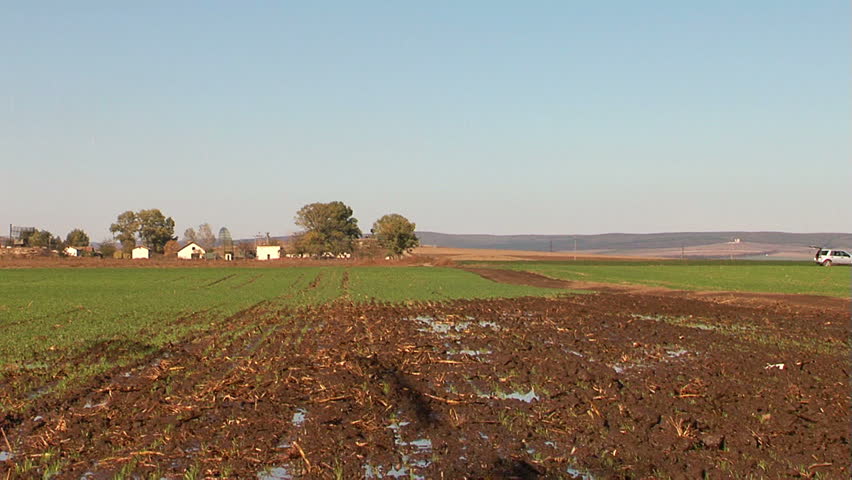 Pivot irrigation in progress on a wheat farm.
