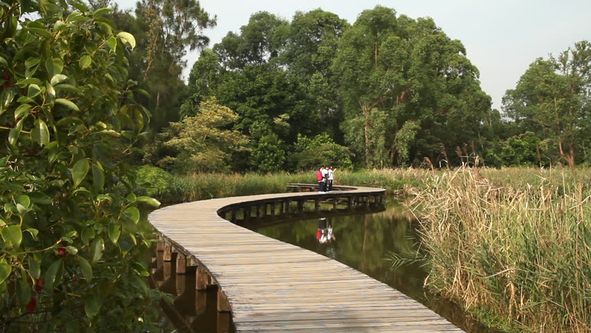 Wooden trail across wetland on the Hong Kong Wetland Park