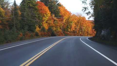Driving on American highway with trees around in autumn. Empty road in Ontario, Canada, with colorful maple trees during the fall season. Travel and transportation concepts