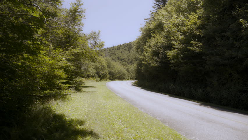 A curvy mountain road, the Blue Ridge Parkway, lined with yellow wildflowers