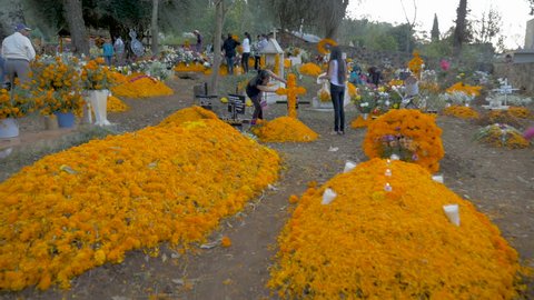 TZURUMUTARO, MEXICO - NOVEMBER 1, 2016 - Mexican families honoring their dead loved ones by decorating their graves with alters and shrines made of Marigold flowers during Day of the Dead