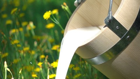 High quality video of pouring milk from wooden bucket in real 1080p slow motion 250fps