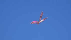 4K video footage of colorful kite in the blue sky