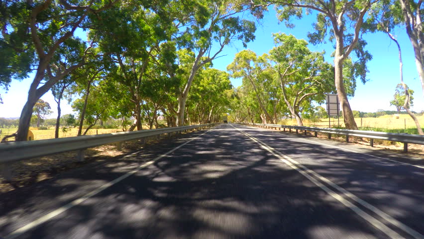 4k Vehicle POV, driving along country highway underneath canopy of Australian eucalyptus trees, taken in the Fleurieu Peninsula, South Australia, with lens flare. Royalty-Free Stock Footage #30525772