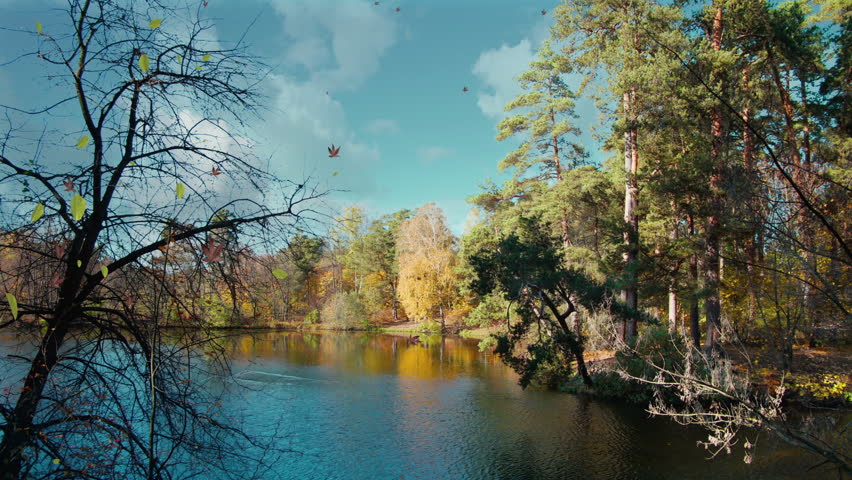 The Four Seasons in Nature Short Version
