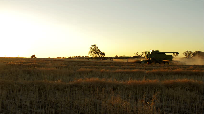 The sun setting on an Australian farmer harvesting a canola crop, that has been
