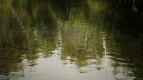 Water Splash !
 - Powered by Shutterstock - Get 15% off with code: PIKWIZARD15