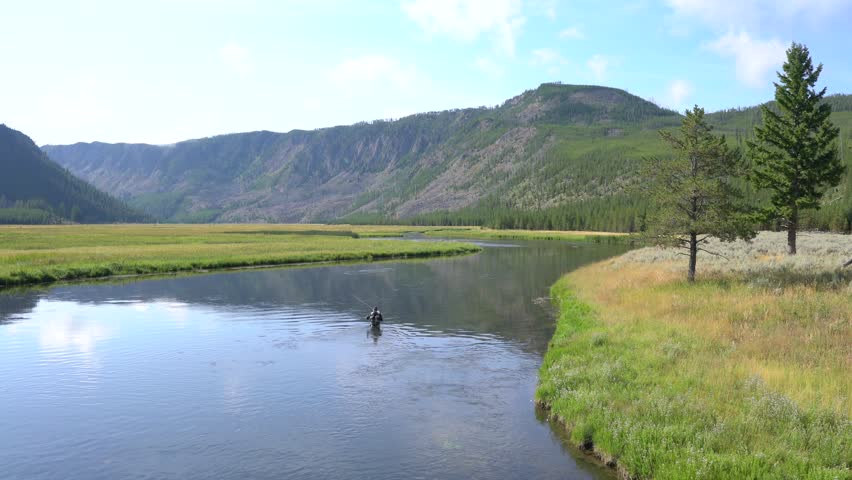 Flyfisherman Fishing Madison River Yellowstone Park Stock Footage Video ...