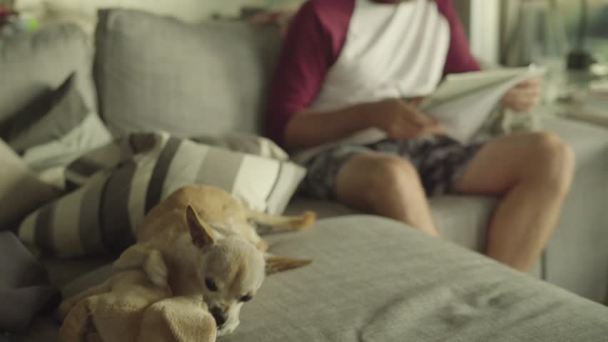 Man drawing / Developing a new project / Creative apartment in Venice at the beach