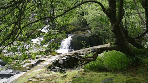 A river flows over rocks in the Wales, Snowdonia mountains.
Green and wet mossy stones, stream with many cascades and small waterfalls surrounded by greenery of forest vegetation 