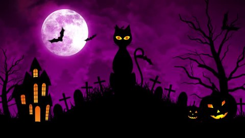 Halloween background animation with the concept of Spooky Pumpkins, Moon and Bats and Haunted Castle and scary cat.