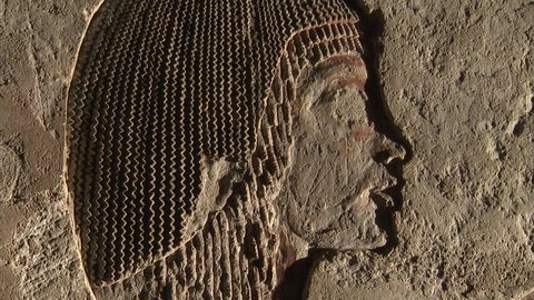 26 JUNE 2010 EGYPT – AMARNA Amarna woman figure engraved to wall.
Tomb of Ay, Tiya and her husband Aya adoring Aten 18ieme Dynastie.