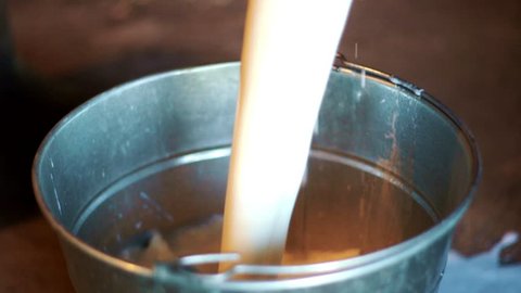 Close up fresh cow milk pouring in bucket on dairy farm. Milk factory. Dairy products. Rural farming. Farming
