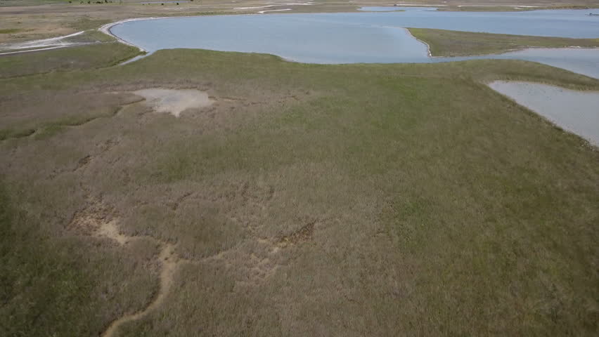 An amazing bird`s eye shot of the Black Sea shelf with green wetland, dark blue weed, rusty sedge, and sandy coast on a sunny day in summer. The seascape looks wild and unusual