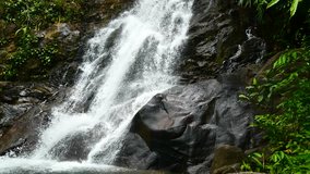 Nature video,A small waterfall in the forest. The water flow through the rocks after the rain. Waterfall hidden in the forests of the National Park.