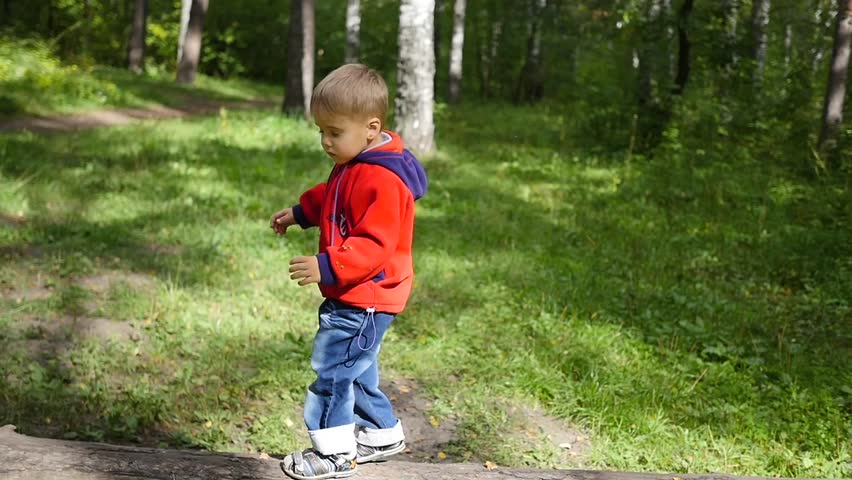 child walking in autumn Park. The boy goes on a fallen tree
