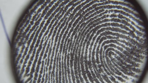 Dactyloscopic investigate fingerprints. Macro shot.