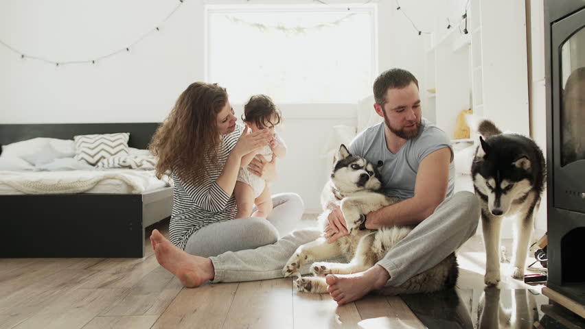 Father, mother, little daughter sits on the floor with dog near chimney with boiler. | Shutterstock HD Video #30679723