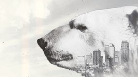 Double exposure of white polar bear and big city - Powered by Shutterstock - Get 15% off with code: PIKWIZARD15