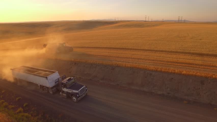 Smooth tracking dolly type aerial drone shot of a semi truck trailer, tractor and bank out wagon filled with grain driving in a wheat field while harvesting the crop in Eastern Washington State. Royalty-Free Stock Footage #30718921