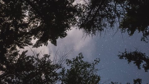 time lapse straight up dolly shot of night sky surrounded by trees