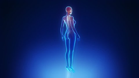 Female body scan in loop
